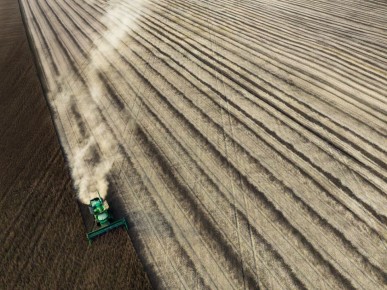 Урожай зерна в регионе по итогам года ожидается на уровне 6,2 млн тонн