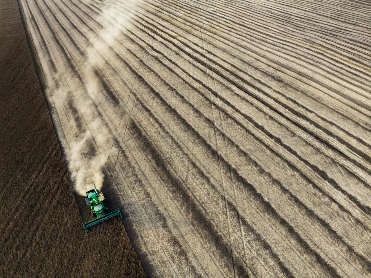 Урожай зерна в регионе по итогам года ожидается на уровне 6,2 млн тонн