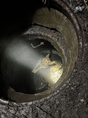 ������ ����������� � ������� �� ����� �������� � �������� � �� ������ ��������� ��������������