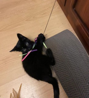 �������� ���������� �������, �������������� � �������������� ����� � ���� �� ���������� ���������