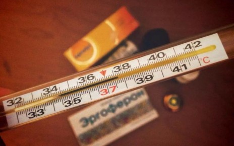 С 8 по 14 декабря в Воронежской области с признаками ОРВИ и гриппа за помощью к медикам обратились 17511 человек