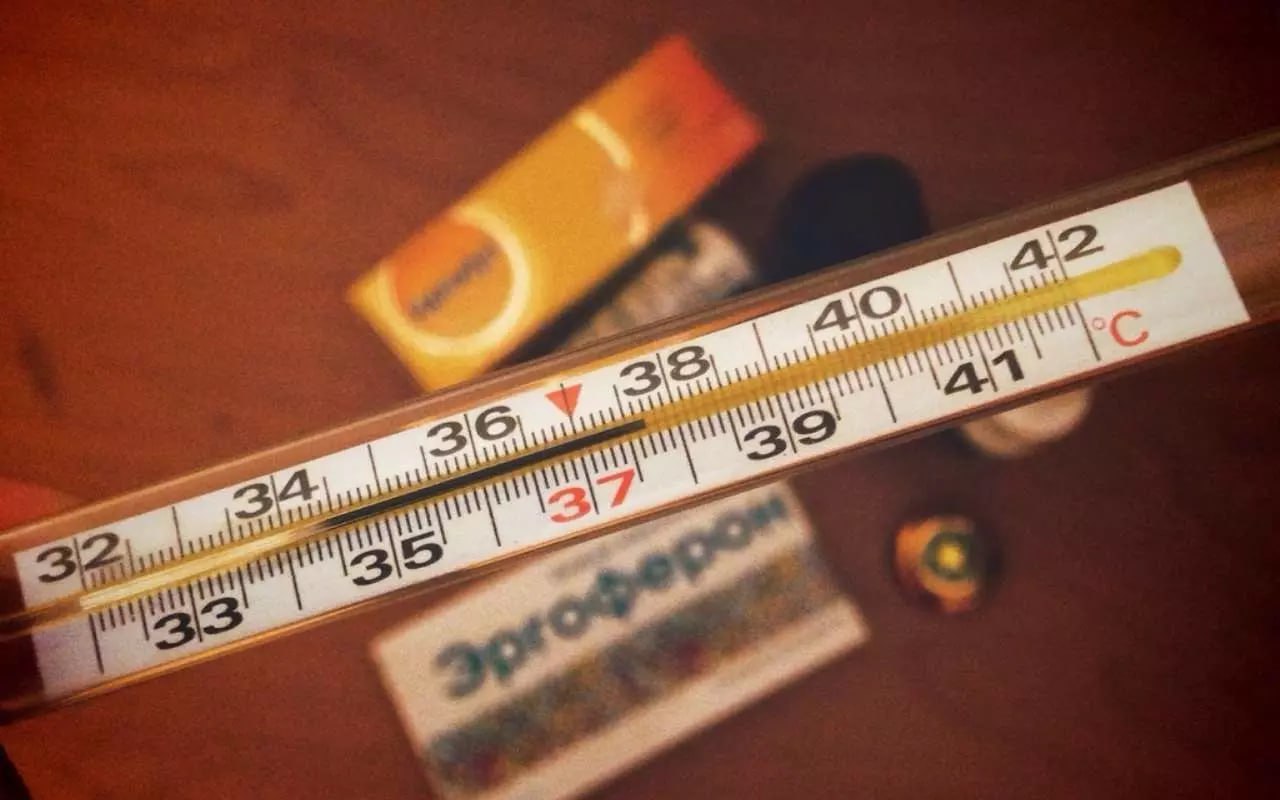 С 8 по 14 декабря в Воронежской области с признаками ОРВИ и гриппа за помощью к медикам обратились 17511 человек