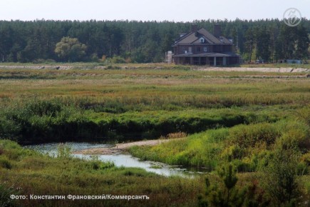 Суд возобновил спор о сносе особняка на берегу Усмани в Воронеже