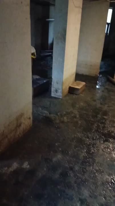Жители многоквартирного дома №69в на улице Минской в Воронеже пожаловались на печальное состояние подвала - он залит канализационным илом