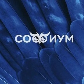 Трое старшеклассников из Воронежской области стали победителями регионального этапа Всероссийской олимпиады «Софиум»