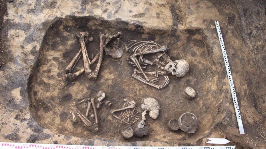 В Воронежской области археологи нашли 28 древних погребений В Воронежской области археологи нашли 28 древних погребений