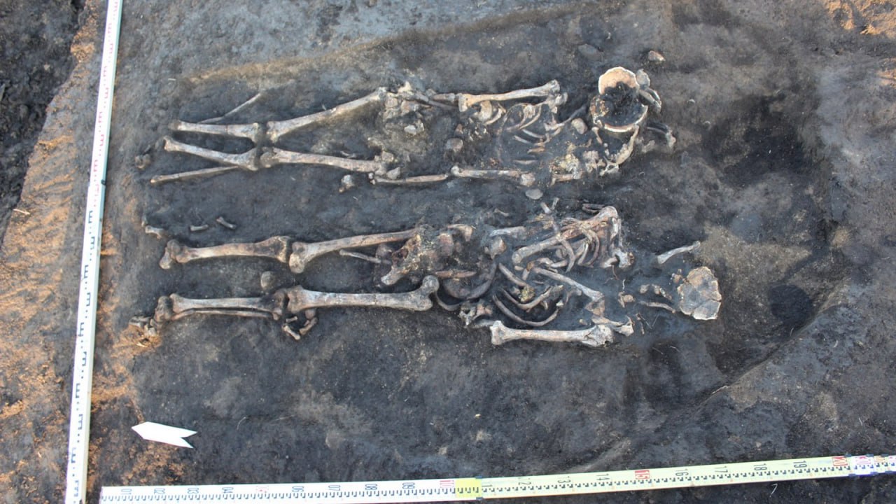 В Воронежской области археологи нашли 28 древних погребений