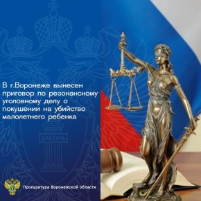 Сегодня в г. Воронеже суд вынес приговор по резонансному уголовному делу покушении на убийство малолетнего ребенка