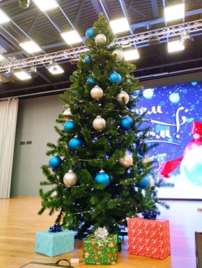 Новый год невозможно представить без главного символа, дарящего предвкушение праздника и создающего неповторимую атмосферу волшебства, — новогодней ёлки