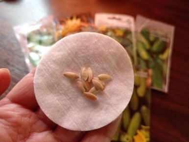 ���������� ����� �������: ��� ��������� ����� ��� ��������� ������