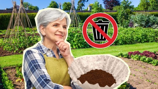 �������� ���� ��� �� ������������: ������ ������� ����� �� ����������