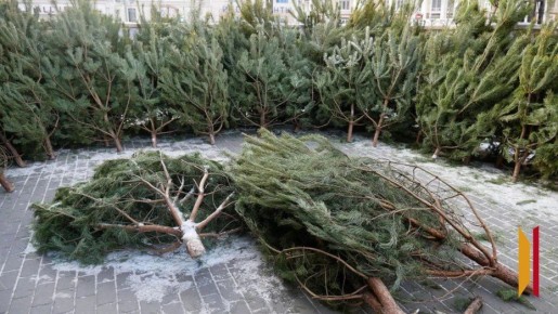 ���������� �� �������� �����