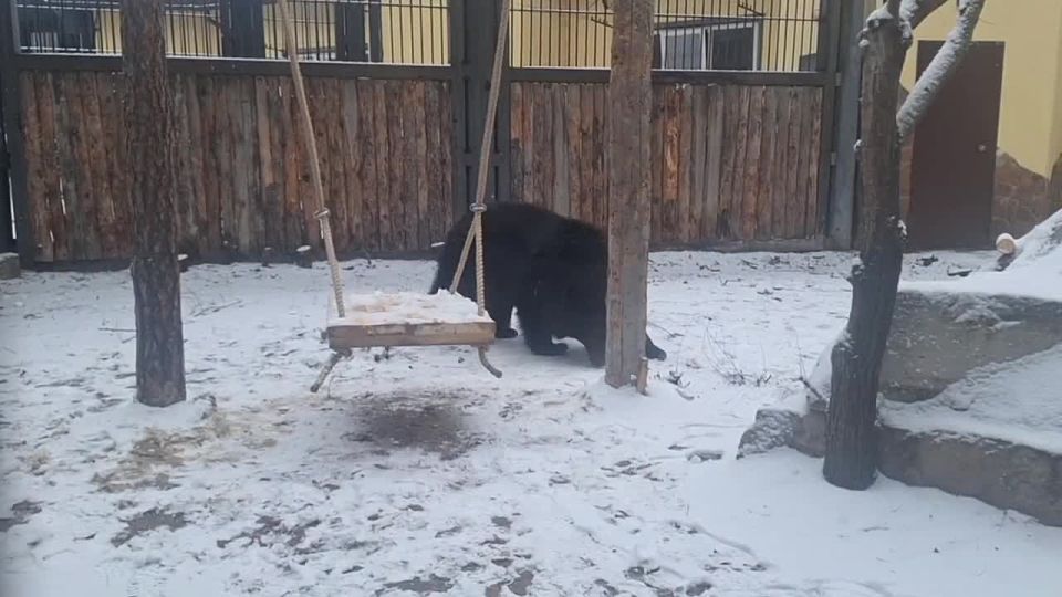 ����������� ��������� ���� �� ������������ �������� ����� �� ��������