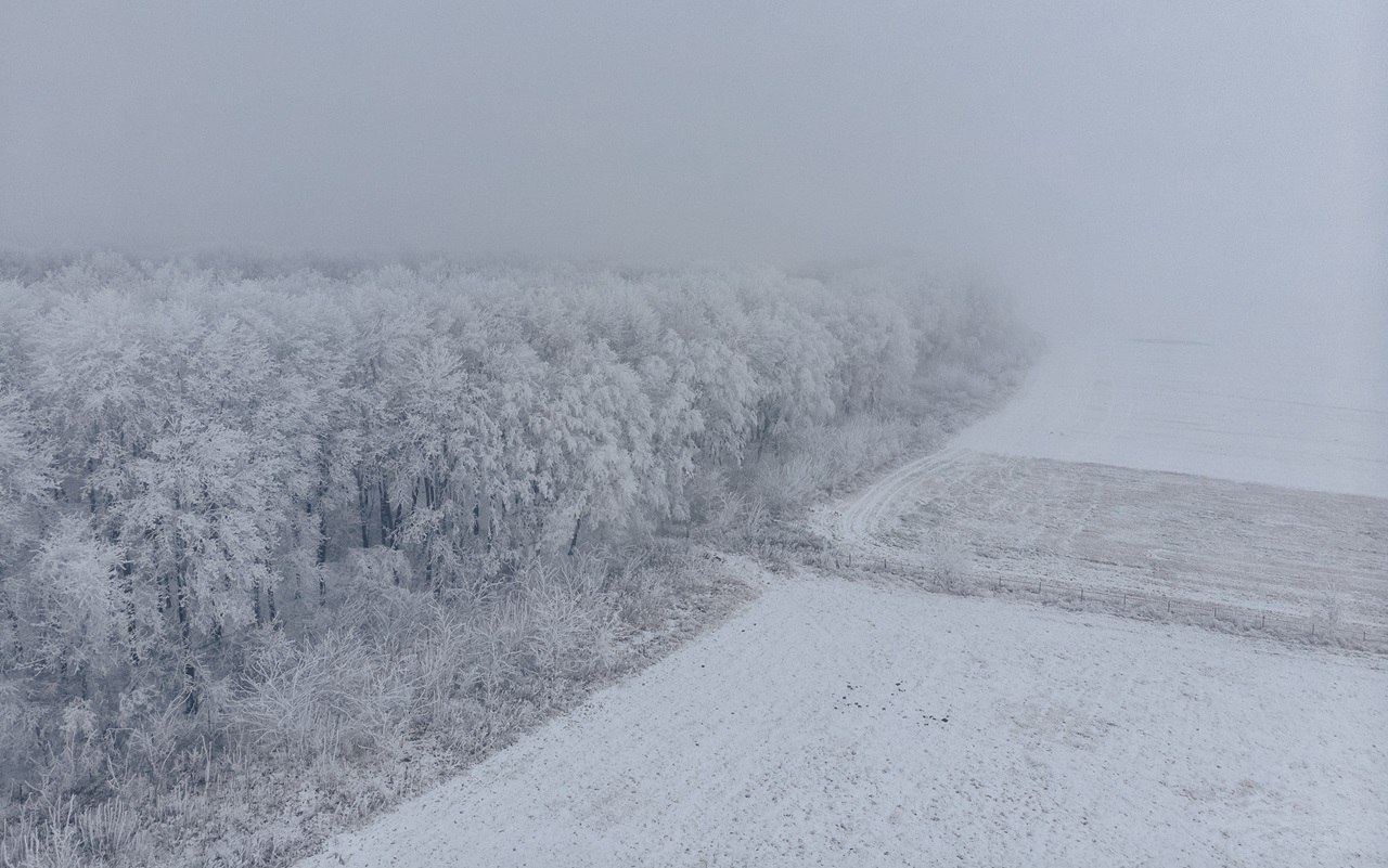 В Воронеж придет сильный ветер и метель