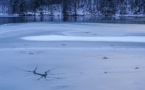 � ������ ������� � ����������� ������� ������� ��� ��������, ������������ ��� ���