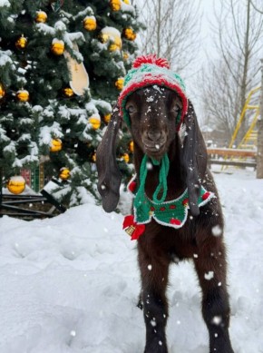 � ����������� ������� � ����� ������ �������� �������� ������ ����