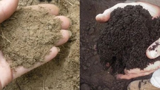 ��� ������� � ������ ������ �������� �������� ����������� ������