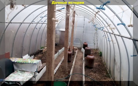 ���������� ������� � ����: ��������� ����� � �����������