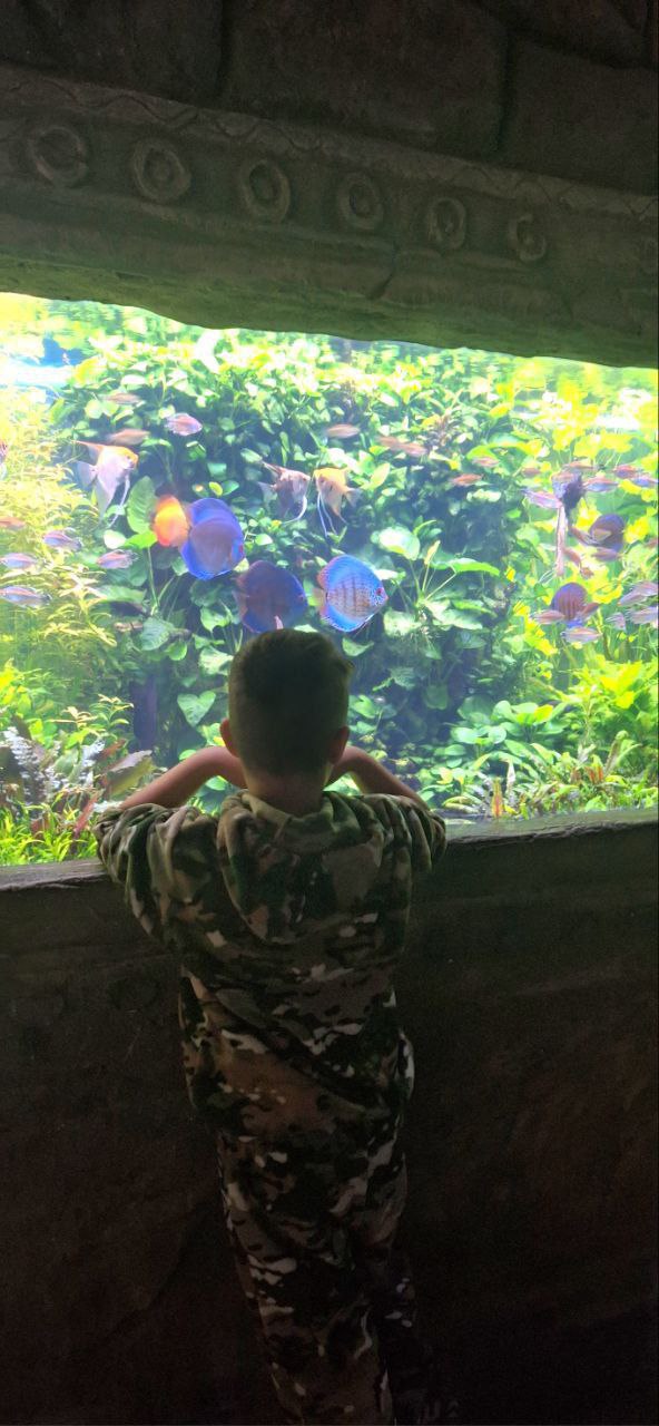 В рамках доброй инициативы "Обними мечту" депутат Воронежской городской думы Михаил Гамбург, Воронежское отделение Всероссийского детского фонда и участники программы «Герои Земли Воронежской» подарили настоящее новогоднее... В рамках доброй инициативы "Обними мечту" депутат Воронежской городской думы Михаил Гамбург, Воронежское отделение Всероссийского детского фонда и участники программы «Герои Земли Воронежской» подарили настоящее новогоднее...