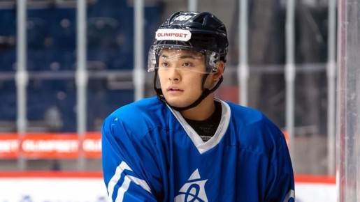 ��������� ����������� ������������ ������� � ���� ������������������ �� ��� �����