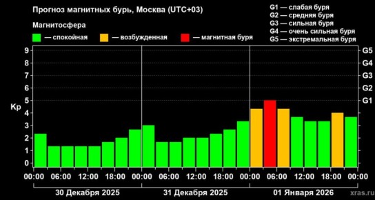 Воронежцев предупредили о магнитной буре в новогоднюю ночь
