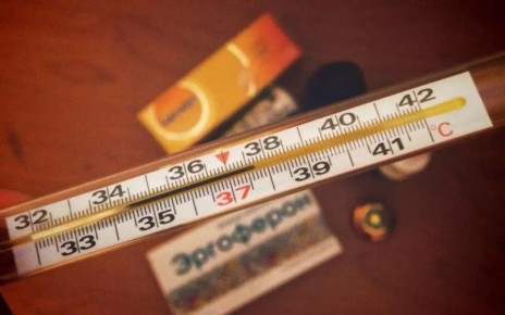 В Воронежской области за неделю на 2525 сократилось количество заболевших ОРВИ