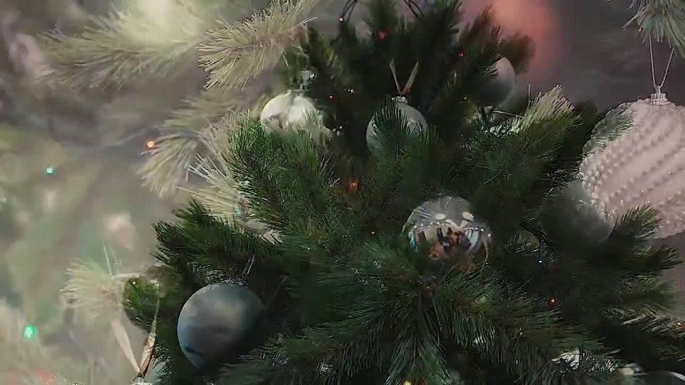 ���������� ������������ ��������� ����������� ��������� ����