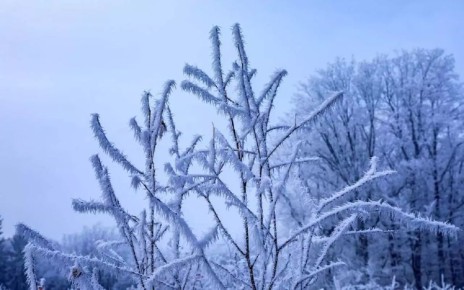 ��� ������� �� ������� ����� ������������ ����������� ���������� ������, � ��������� ������ ������� ��������� � ������� ���� ���� ��������� ����������