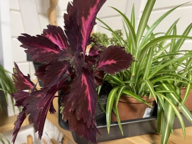 ��� �������� �������������: 8 ��������� ��������, �� ������� ����� ����������