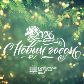 Дорогие воронежцы!. Примите самые искренние поздравления с Новым годом!