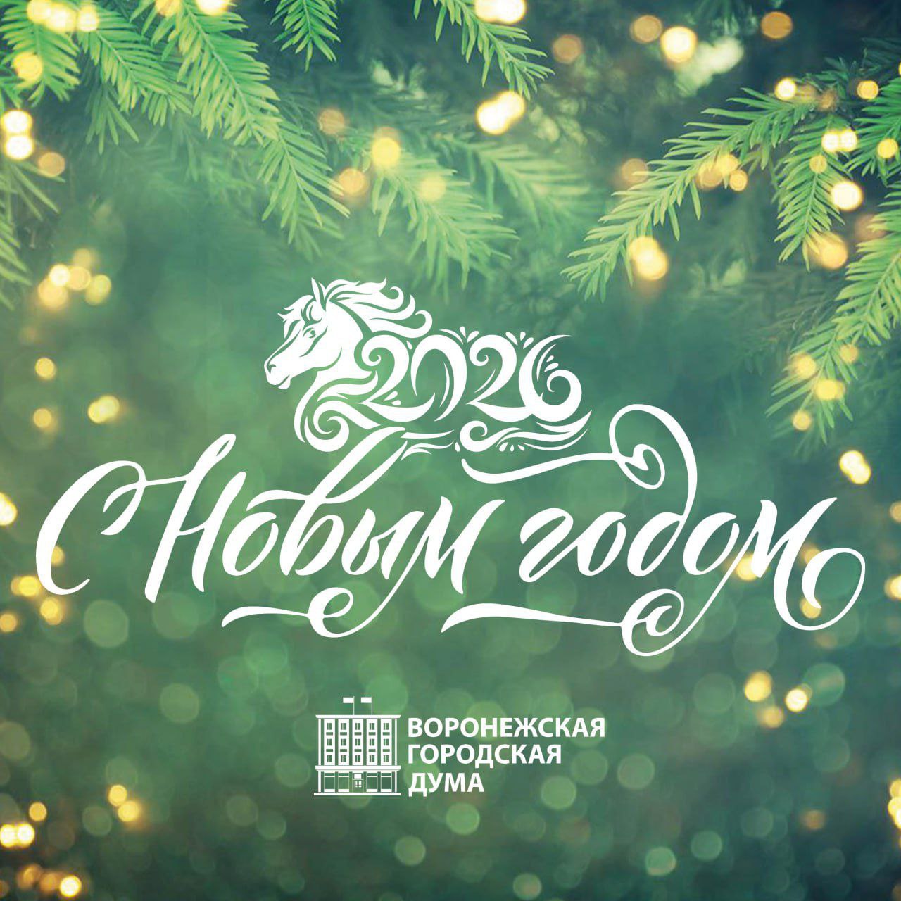 Дорогие воронежцы!. Примите самые искренние поздравления с Новым годом!