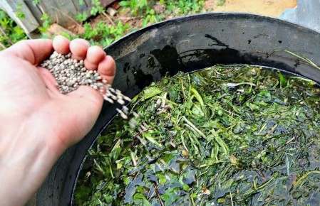 Фермерские секреты: как природные удобрения помогут вырастить идеальный урожай