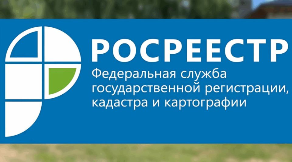 ���� � ������� ���������: ���������� ������ ������ �� ���� ���