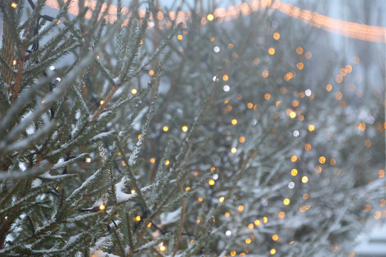 Уважаемые посетители Адмиралтейской площади Уважаемые посетители Адмиралтейской площади