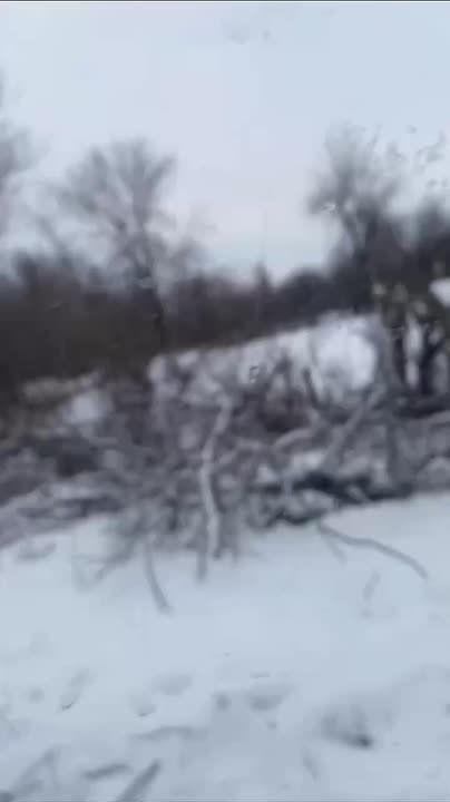 ���������� ���������� �� ���������� ���������� ��������� ����� �� �����