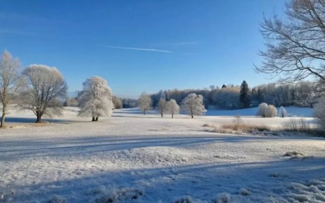 ����������� ������� �������� ����������� ����������� �������� ����������� ��� �������