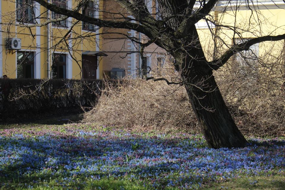 ������������ ��� ����������� ������