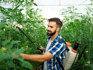 ��� �������� ��� �� ����������: ����������� ������ ������ � ������