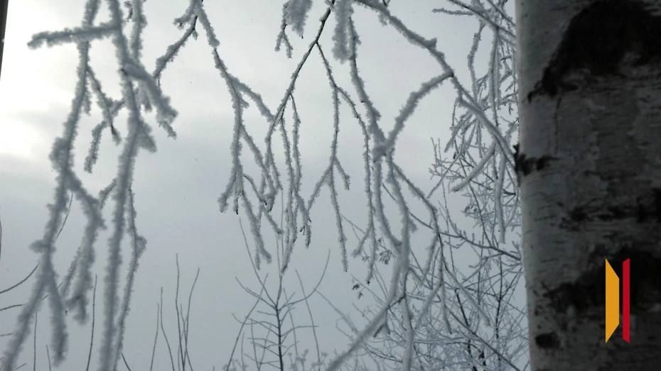 � ����������� ������� ���������� ����������� ������ ������� �������� ��������� �� ������ � ��������