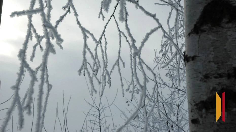 В Воронежской области продолжает действовать желтый уровень погодной опасности по туману и гололеду