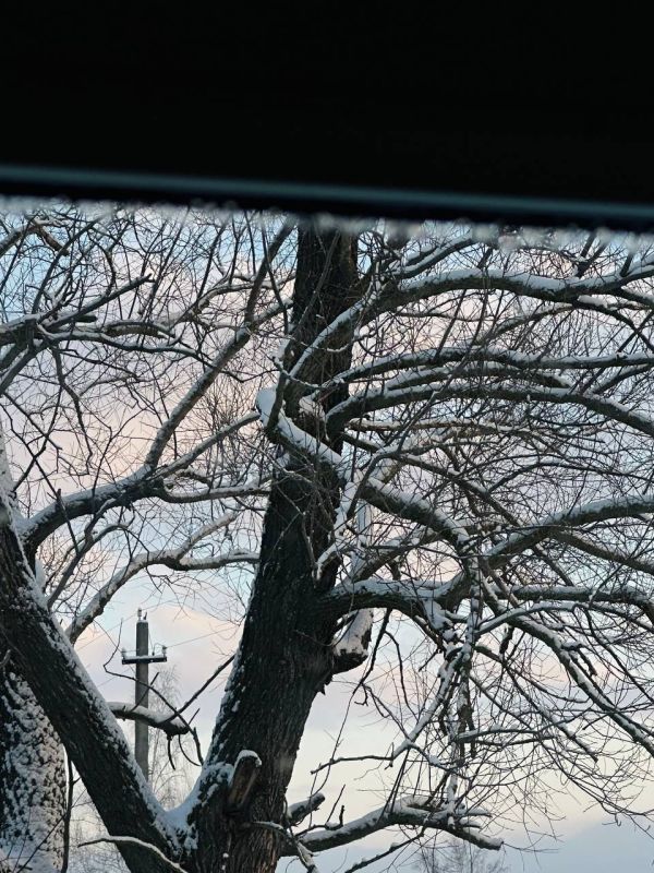 �� ����� ��������� ������ ������