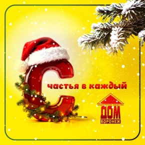 Компания "Воронеж-Дом" от всей души поздравляет жителей Воронежа с Новым годом и Рождеством!