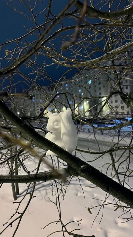 � ����������� ����������� ��������� ��������� ������� ������� � ����-���������