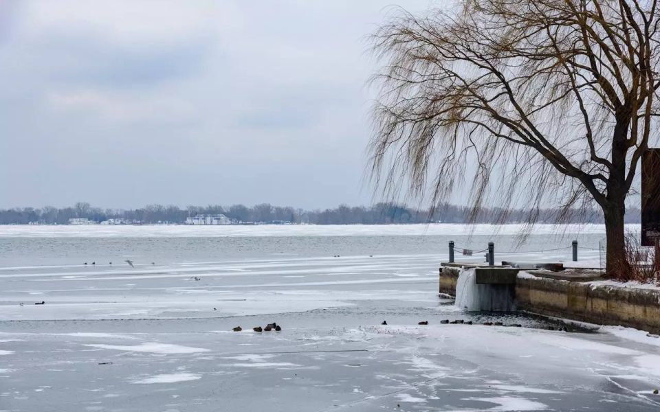 ����� �������� �������� �� ����, ������ ����������� ������� � �������� ������������ ��� ����������