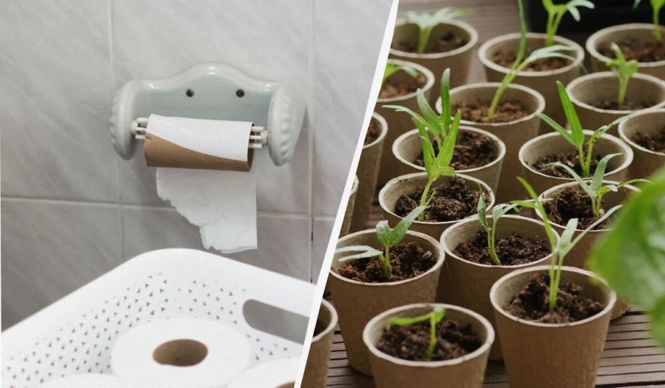 ��������� ������� ��� ��������: ��� ��������� ������ ����� ����� ���������� ������������ ��� �������