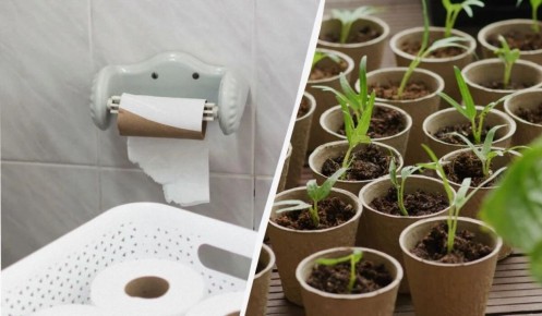 ��������� ������� ��� ��������: ��� ��������� ������ ����� ����� ���������� ������������ ��� �������