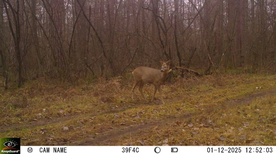 ����������� ���������� ������� ����� ������ ����������� ������