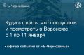 Чем заняться в городе 11 января: гид по главным событиям