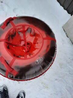 Следователем СК установлен подозреваемый в хулиганстве Следователем СК установлен подозреваемый в хулиганстве