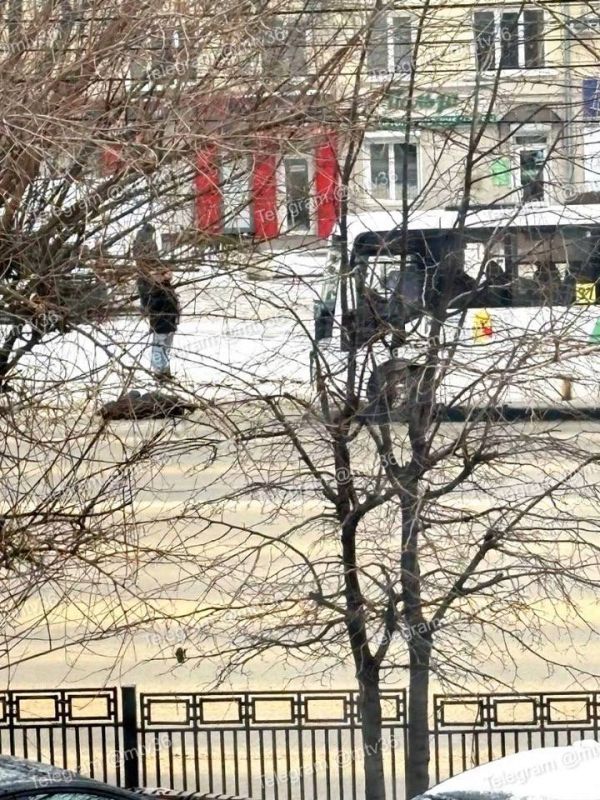 ����� ��������� ��������� ������ ������� �37 ���� �������